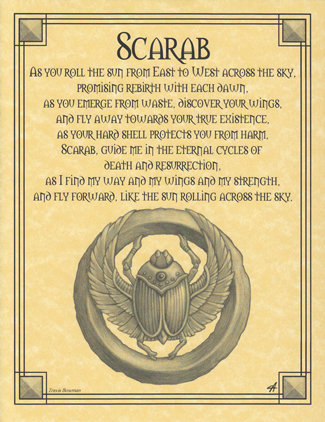 Scarab Scarab