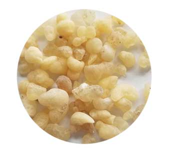 Frankincense siftings incense 1 oz Frankincense siftings incense 1 oz