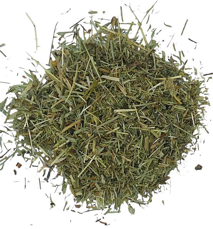 Shavegrass cut 1oz wild crafted Shavegrass cut 1oz wild crafted