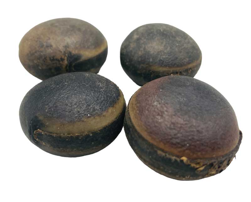 Ojo De Buey (Deer Eye) Ojo De Buey (Deer Eye)